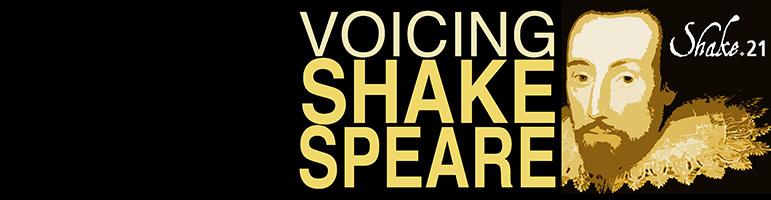 Slider Voicing Shakespeare copy