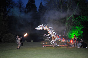 Bohemian Events Dragon